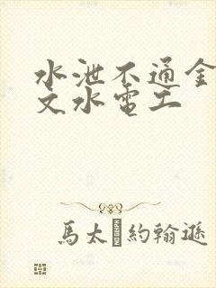 水泄不通金银原文水电工