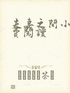 夫妻之间小说免费阅读