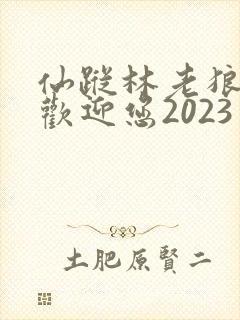 仙踪林老狼入口欢迎您2023
