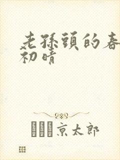 老孙头的春天林初晴