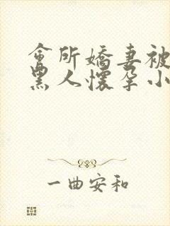 会所娇妻被多个黑人怀孕小说封面