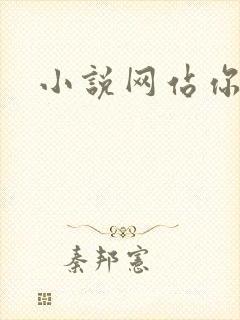 小说网站你懂的