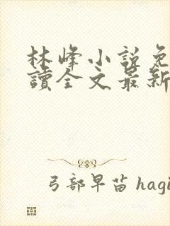 林峰小说免费阅读全文最新章节