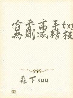 偷香高手txt无删减精校版