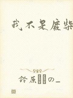 我不是废柴封面