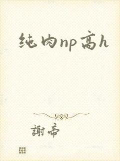 纯肉np高h封面