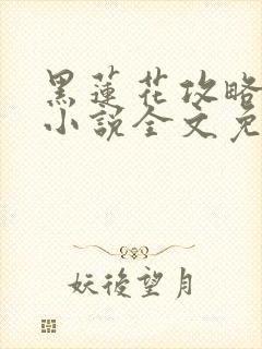 黑莲花攻略手册小说全文免费阅读笔趣阁封面