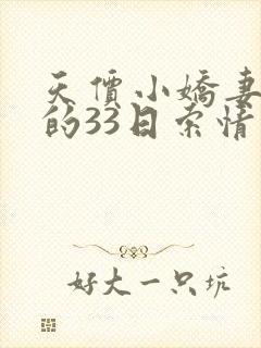 天价小娇妻总裁的33日索情
