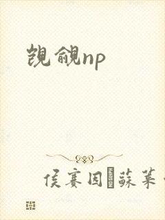 觊觎np
