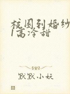 校园到婚纱1V1高冷甜