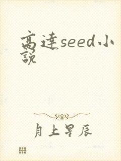 高达seed小说