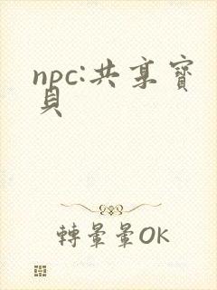 npc:共享宝贝