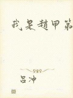 我是赵甲第小说