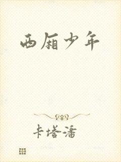 西厢少年封面