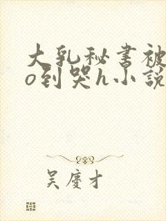 大乳秘书被cao到哭h小说封面