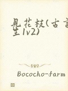 见花枝(古言重生1v2)