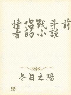 情侣战斗前适合看的小说