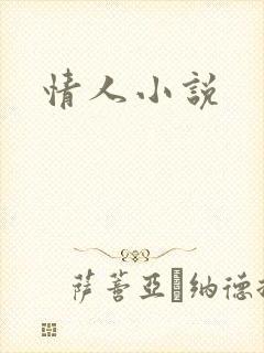 情人小说