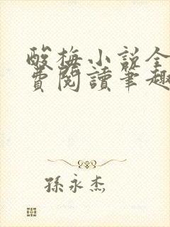 酸梅小说全文免费阅读笔趣阁