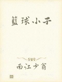篮球小子