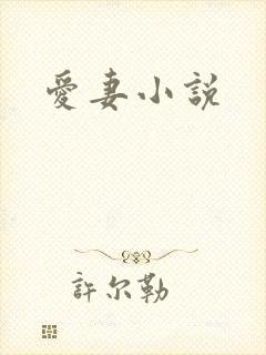 爱妻小说