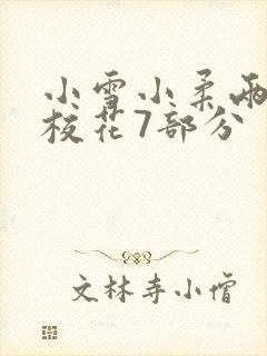 小雪小柔两个大校花7部分