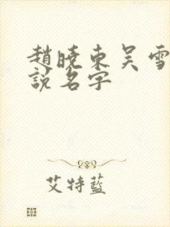 赵晓东吴雪晴小说名字