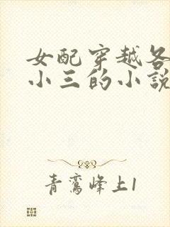 女配穿越各个做小三的小说封面