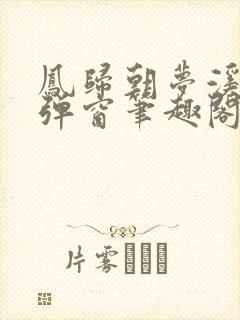 凤归朝梦溪石无弹窗笔趣阁封面