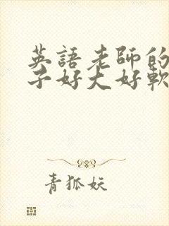 英语老师的小兔子好大好软水封面