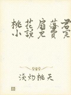 桃花扇落君不还小说免费完整版封面