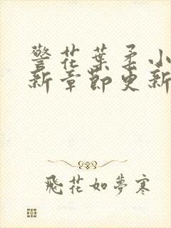 警花叶柔小说最新章节更新