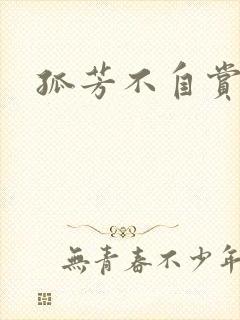 孤芳不自赏小说