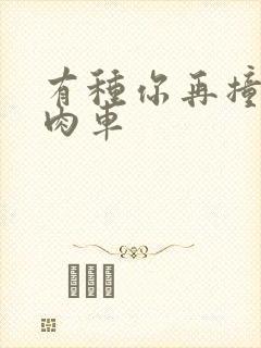 有种你再撞一下肉车封面