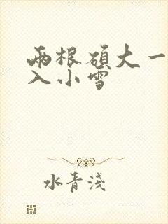 两根硕大一起挤入小雪