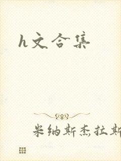 h文合集
