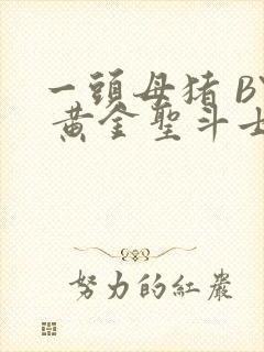 一头母猪 BY 黄金圣斗士封面