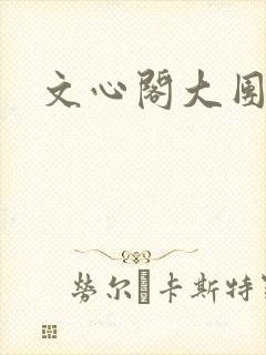文心阁大团结