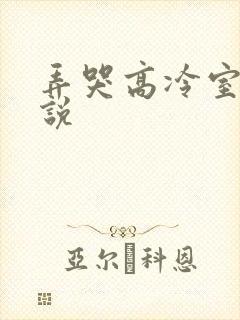 弄哭高冷室友小说