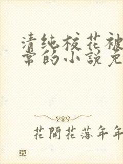 清纯校花被擒日常的小说免费阅读