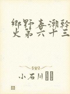 乡野春潮干柴烈火第六十三章