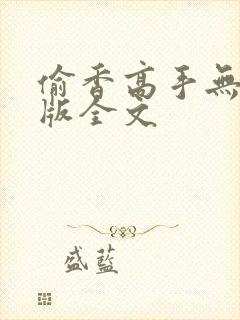 偷香高手无删减版全文封面