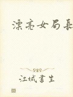 漂亮女局长封面