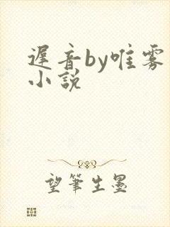 迟音by唯雾的小说