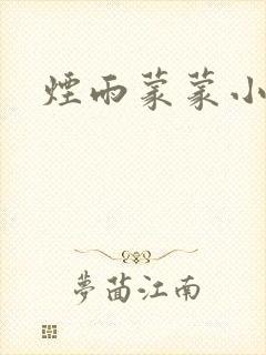 烟雨蒙蒙小说封面