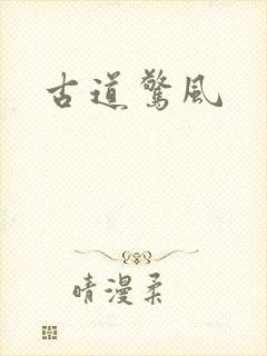 古道惊风封面