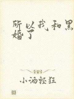 所以我和黑粉结婚了