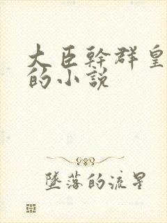 大臣干群皇太后的小说