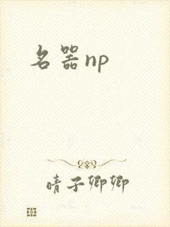 名器np