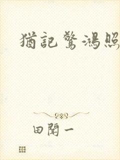 犹记惊鸿照影封面